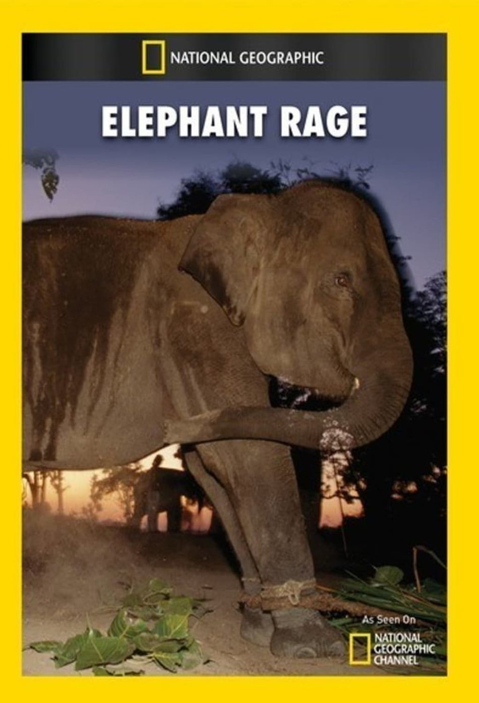 Elephant Rage - (NTSC Format) - [DVD]