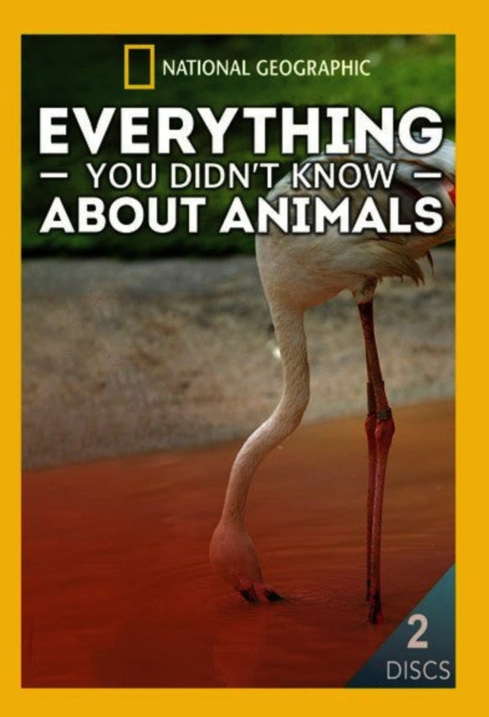 Everything You Didn't Know About Animals - (2 Pack, NTSC Format) - [DVD]