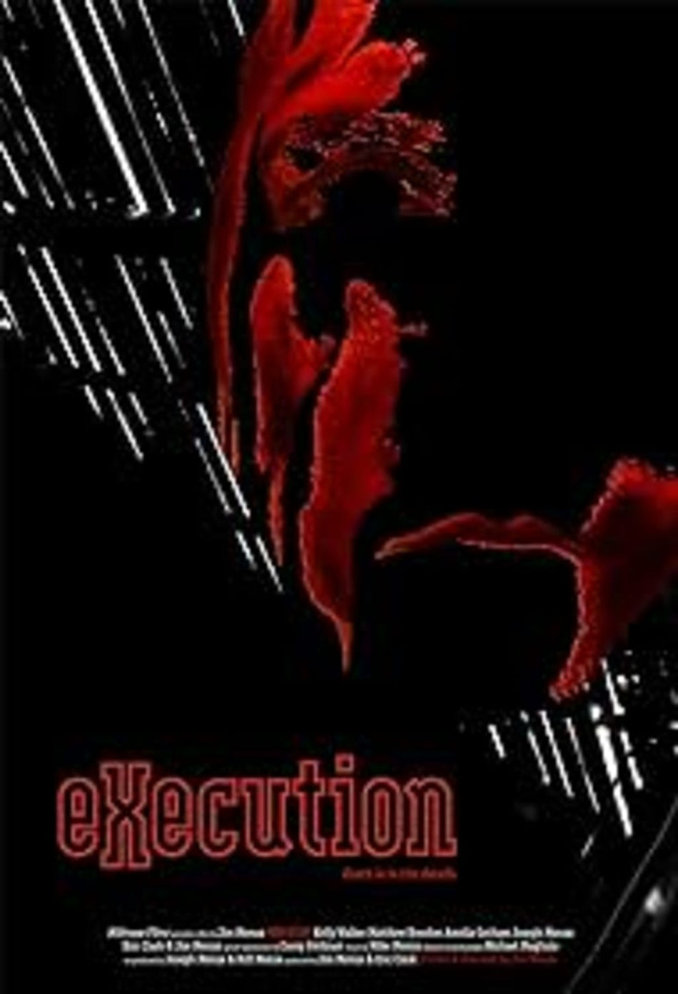 Execution - [DVD]