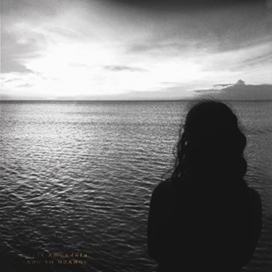 Scott Amendola - Fade To Orange - [Vinyl]