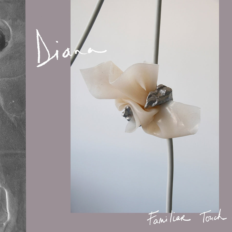 Diana - Familiar Touch - [Vinyl]