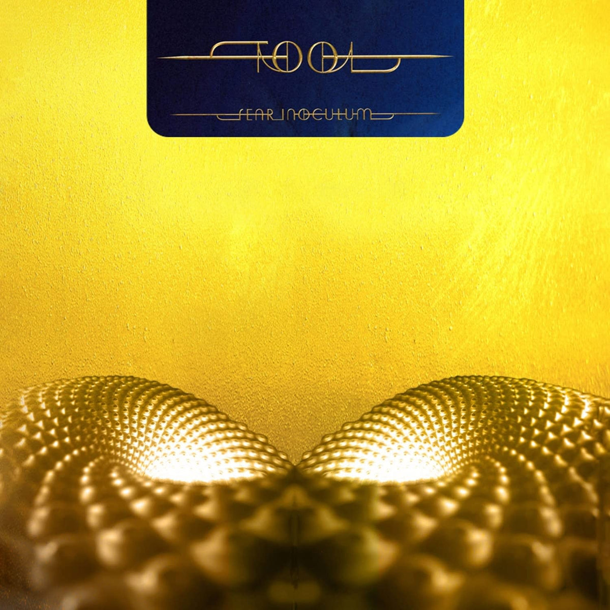 Tool - Fear Inoculum - (180 Gram Vinyl, Gatefold LP Jacket, Poster) - [Vinyl]