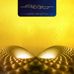 Tool - Fear Inoculum - (180 Gram Vinyl, Gatefold LP Jacket, Poster) - [Vinyl]