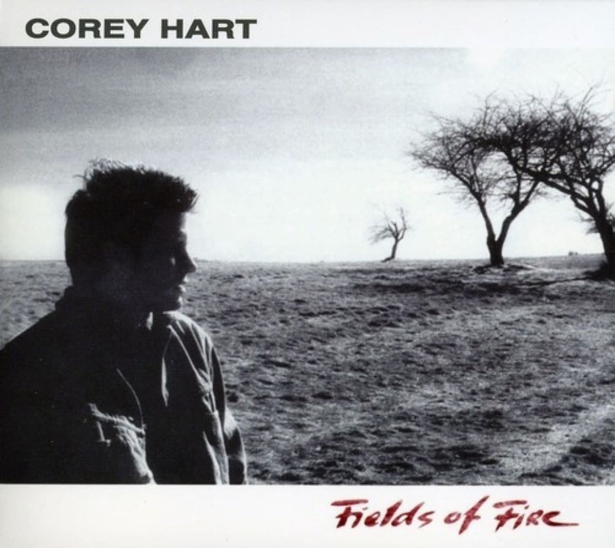 Corey Hart - Fields of Fire - [CD]