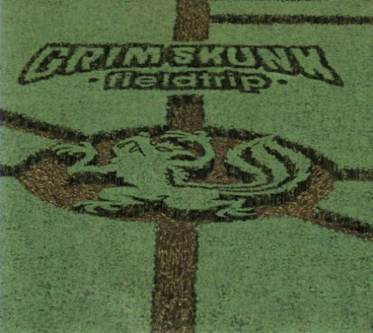 Grimskunk - FIELDTRIP - [CD]