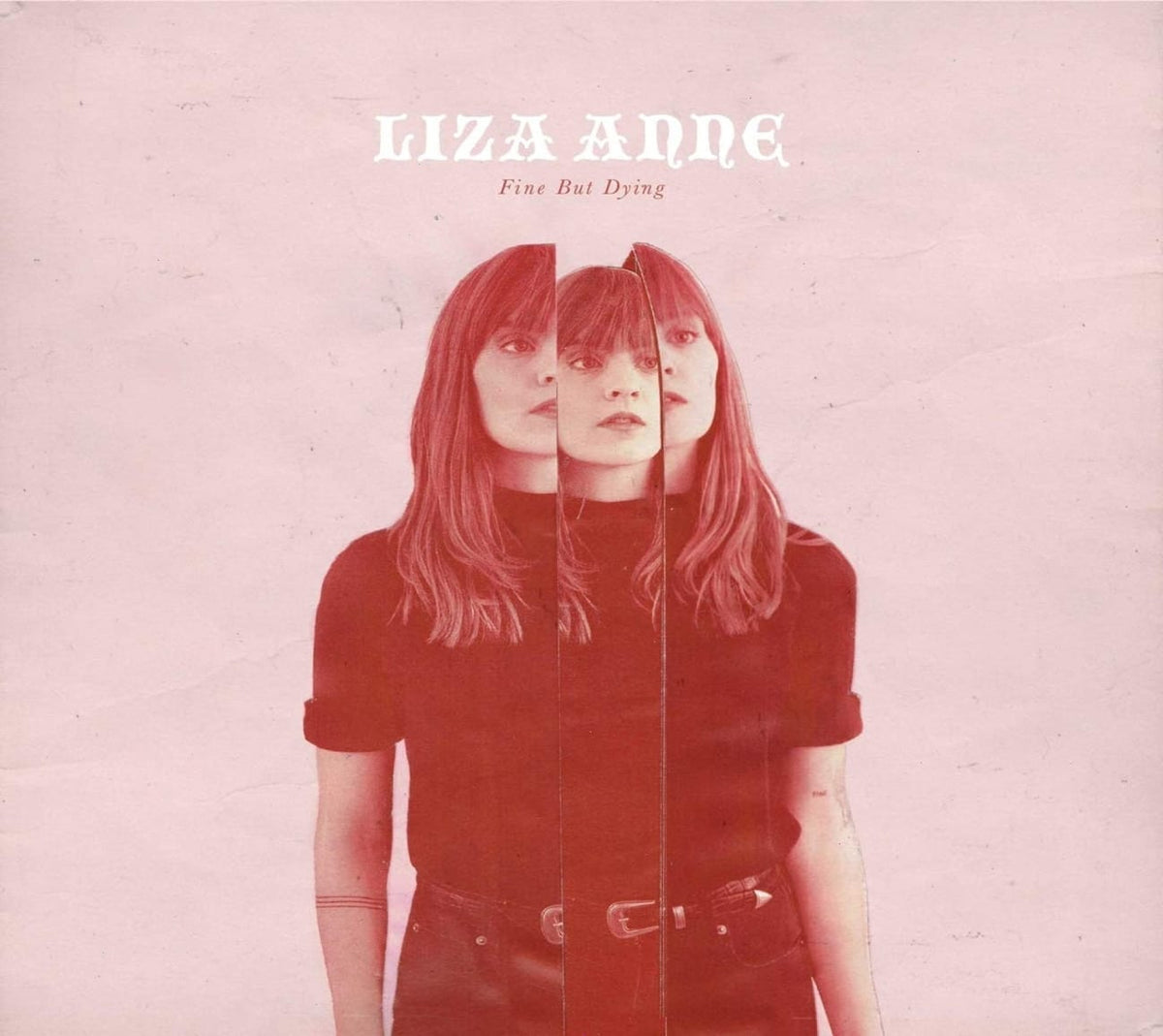 Liza Anne - Fine But Dying [Explicit Content] - (Parental Advisory Explicit Lyrics) - [CD]