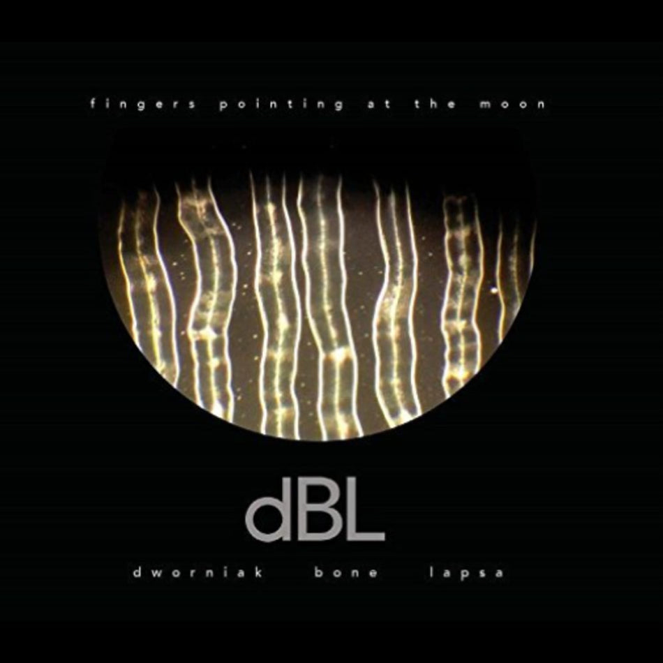 Dworniak Bone Lapsa - Fingers Pointing At The Moon - [Vinyl]