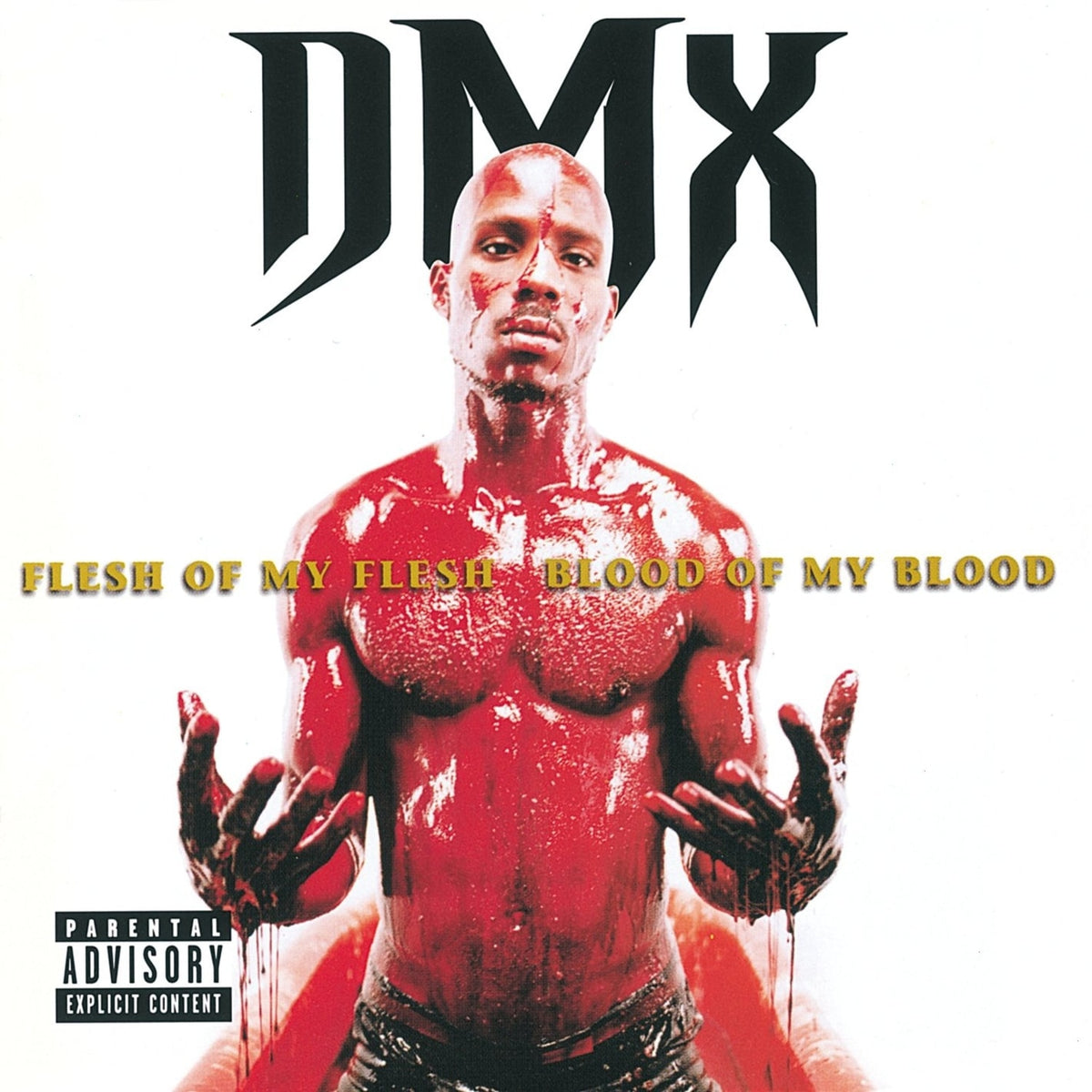 DJ Lt. Dan / DMX - Flesh Of My Flesh Blood Of My Blood - [Vinyl]