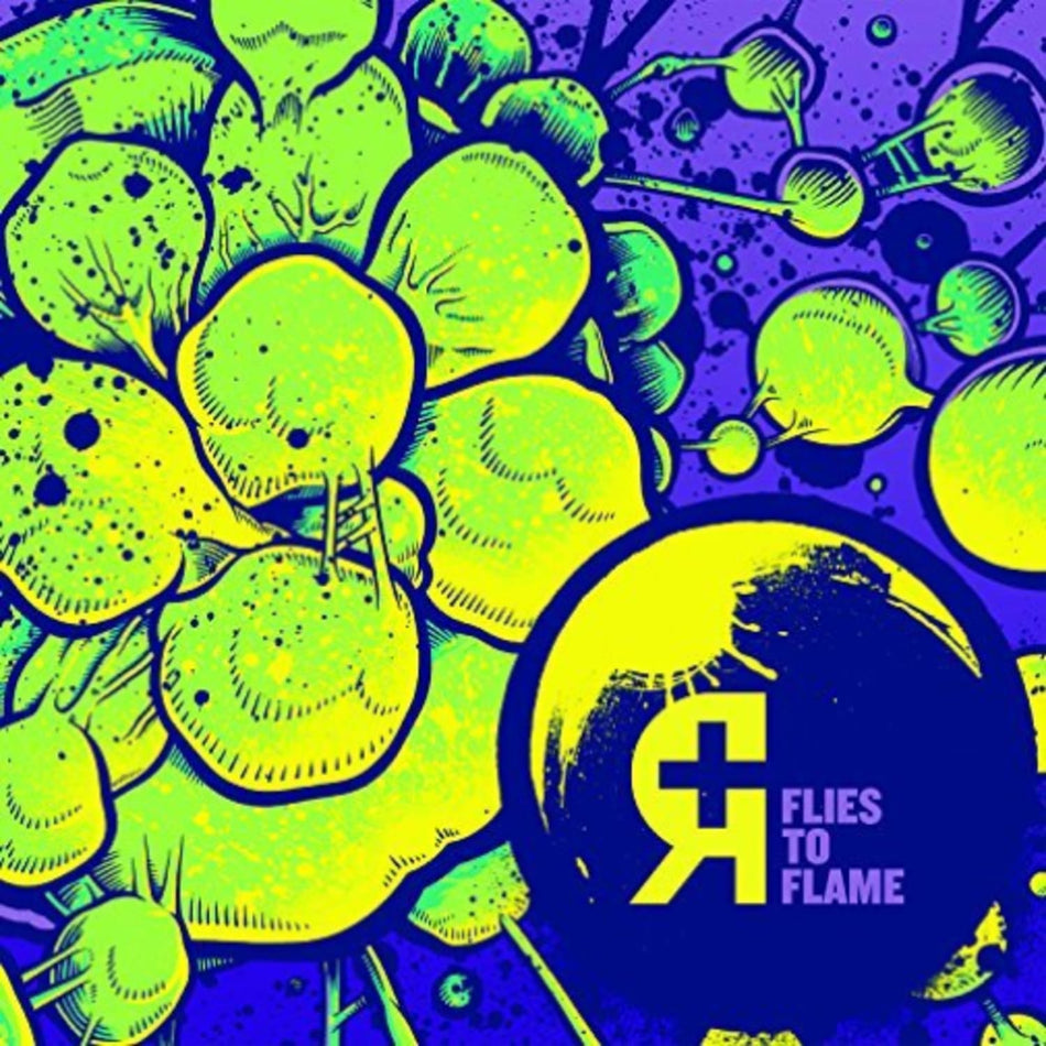 Rosetta - Flies to Flame - [Vinyl]