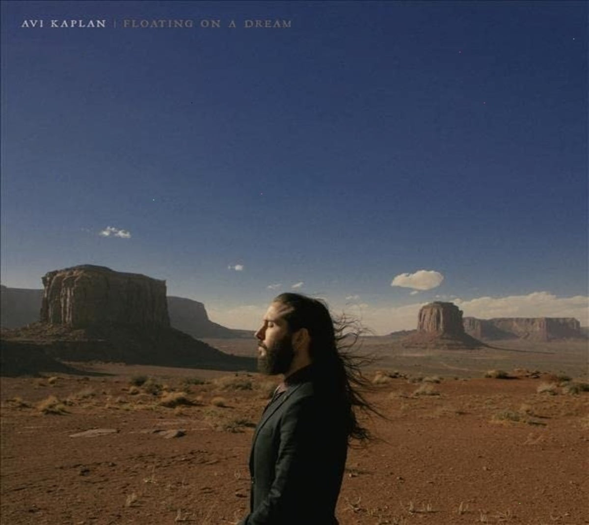 Avi Kaplan - Floating On A Dream - (Softpak) - [CD]