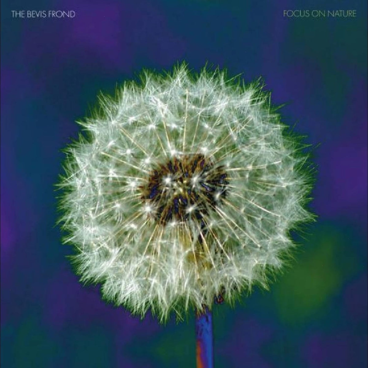 The Bevis Frond - Focus On Nature - (Digital Download Card) - [Vinyl]