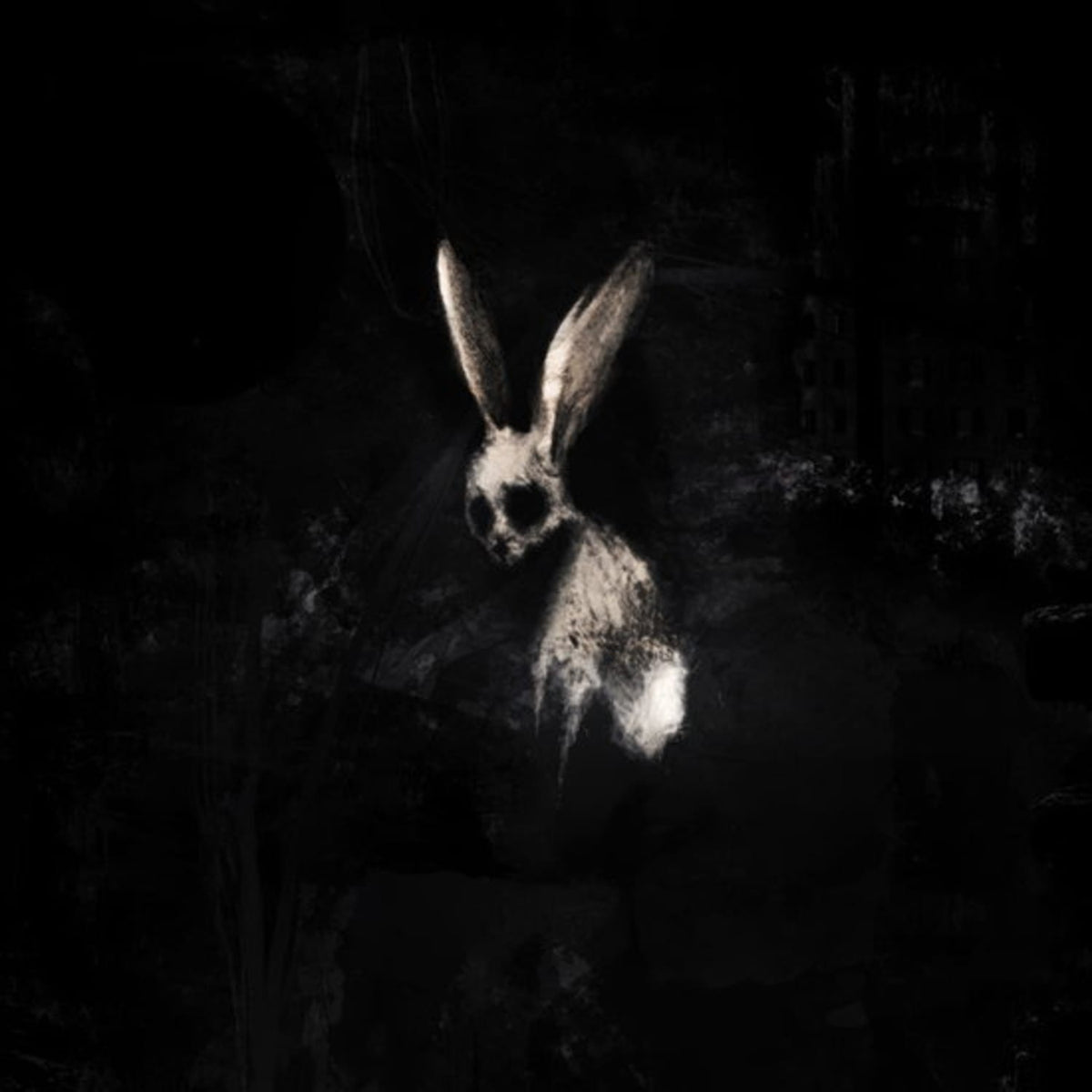 Ghostkid - Follow the White Rabbit - [Vinyl]