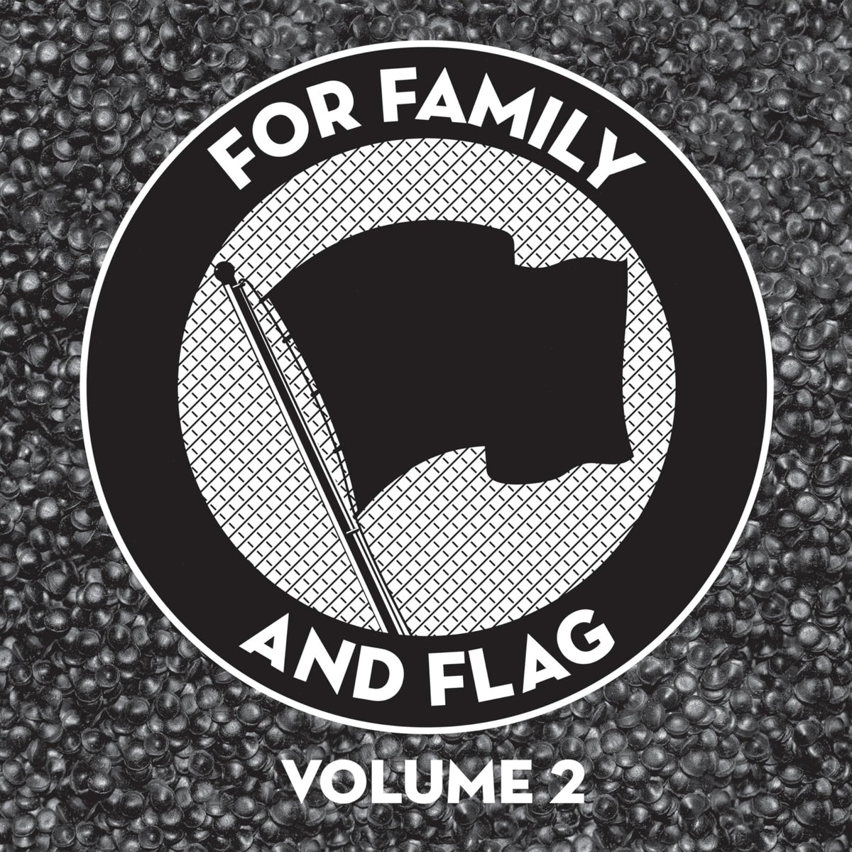 Various Artists - For Family And Flag 2 (Various Artists) - [Vinyl]