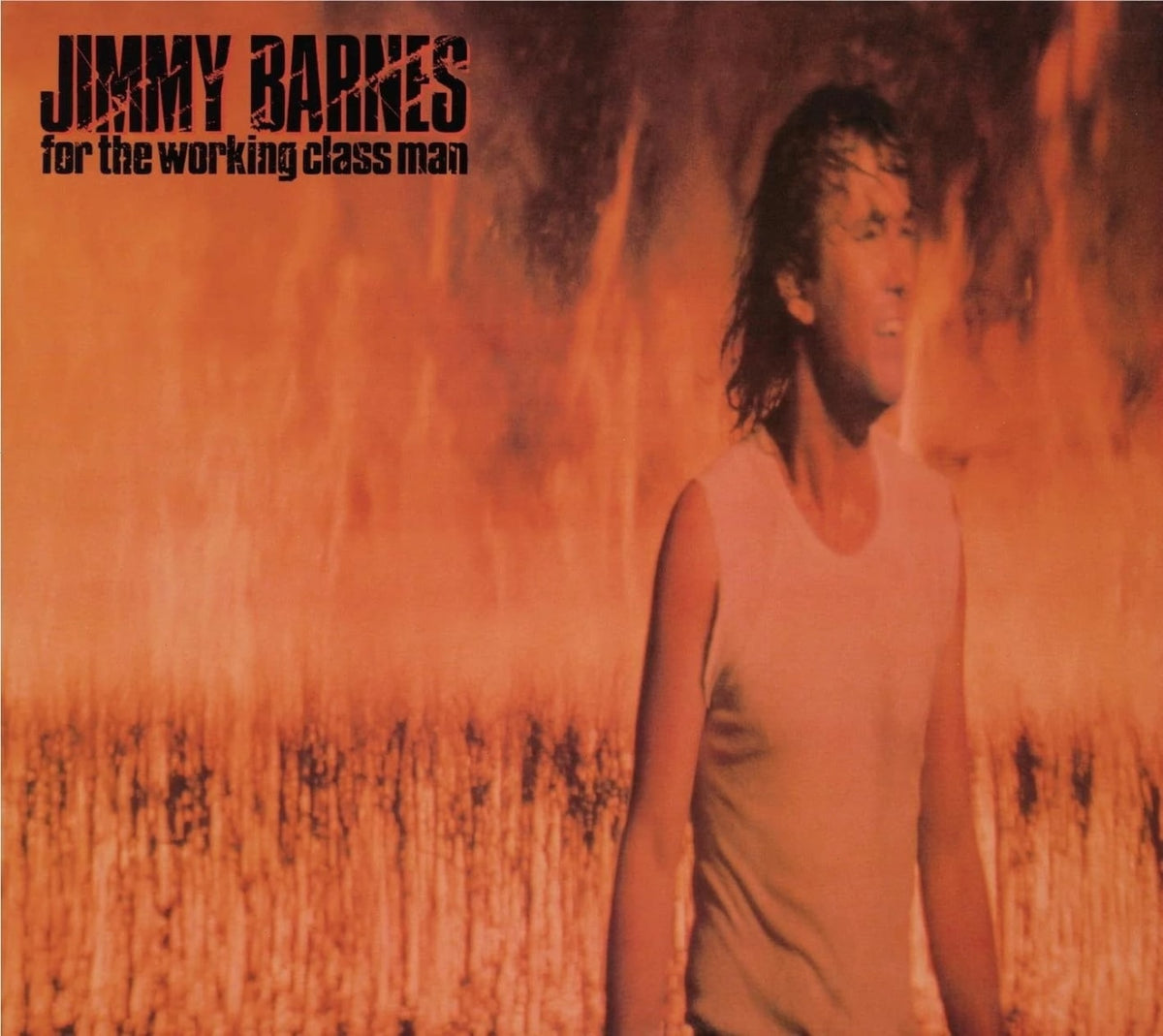 Jimmy Barnes - For The Working Class Man: 40th Anniversary - [CD]