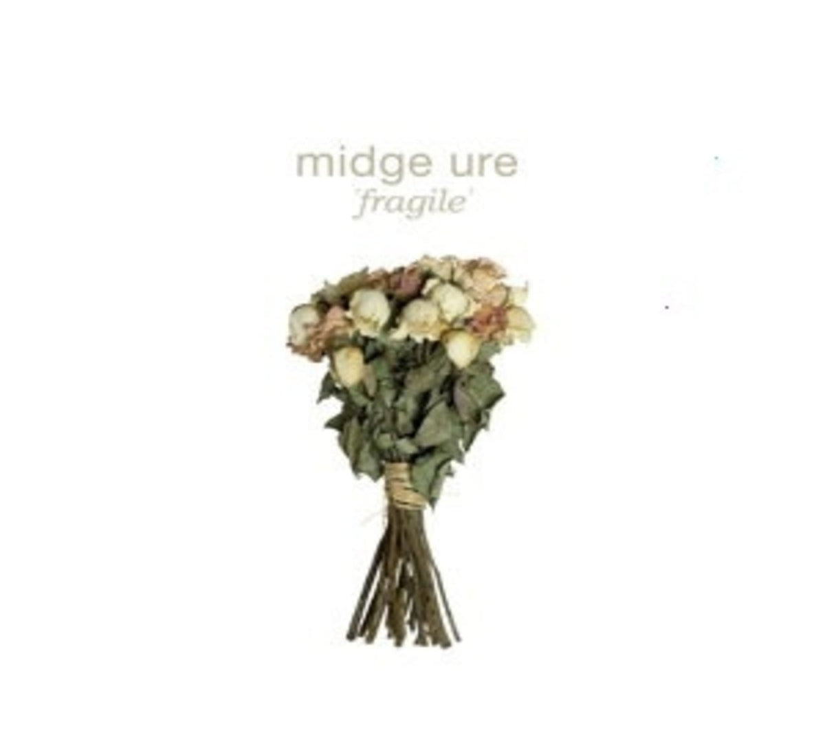 Midge Ure - Fragile - [CD]