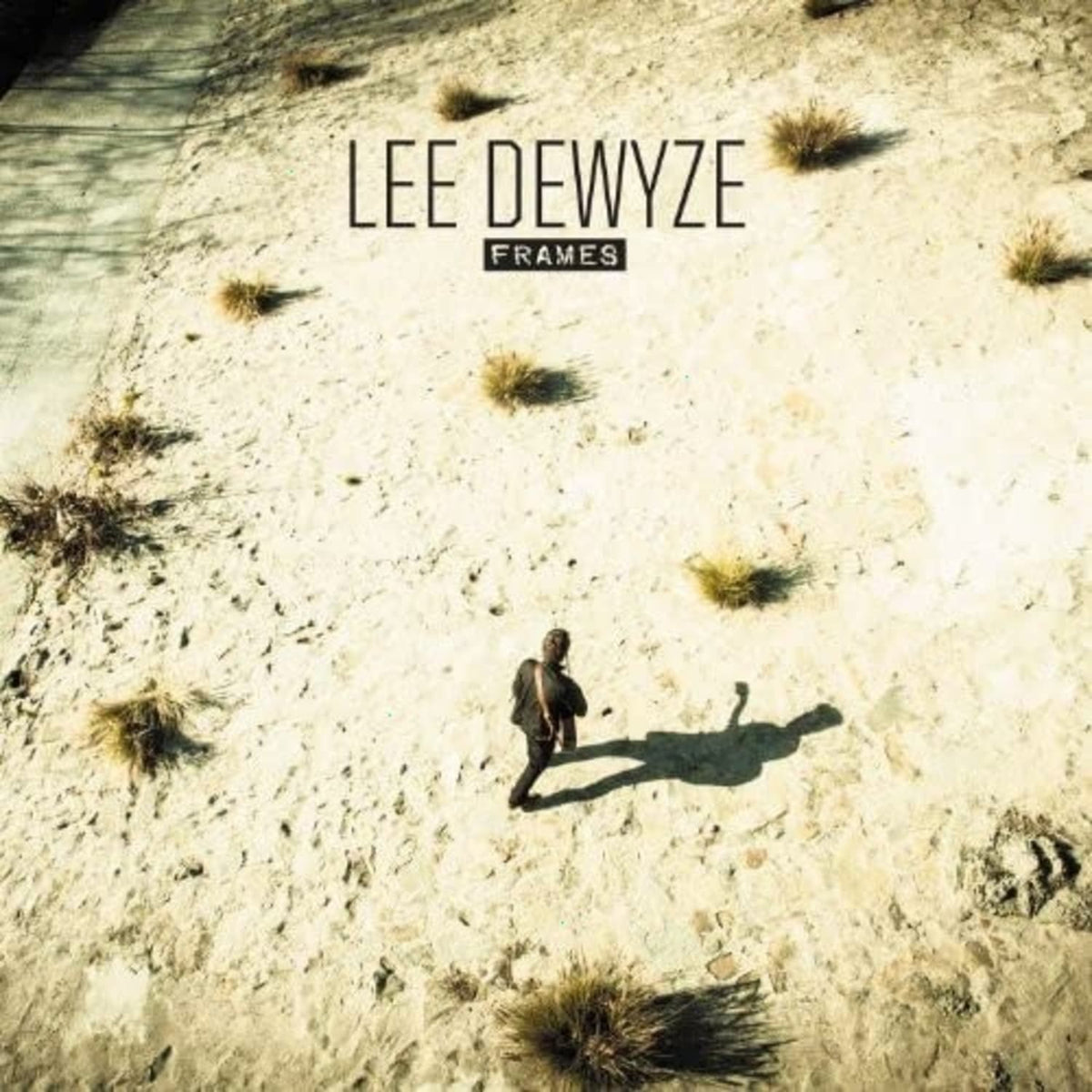 Lee DeWyze - Frames - [Vinyl]