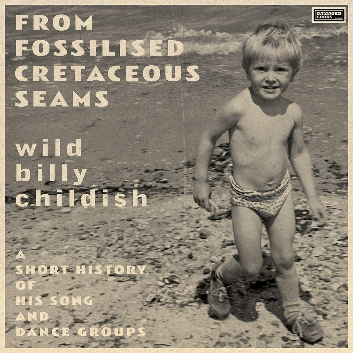 Billy Childish - From Fossilised Cretaceous Seams: A Short History Of His Song And Dance Groups - [Vinyl]