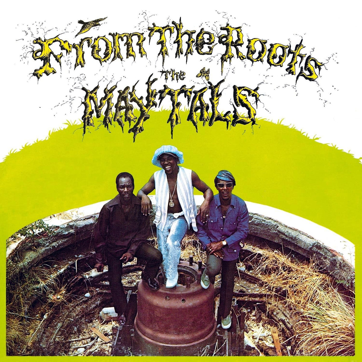 The Maytals - FROM ROOTS - [Vinyl]