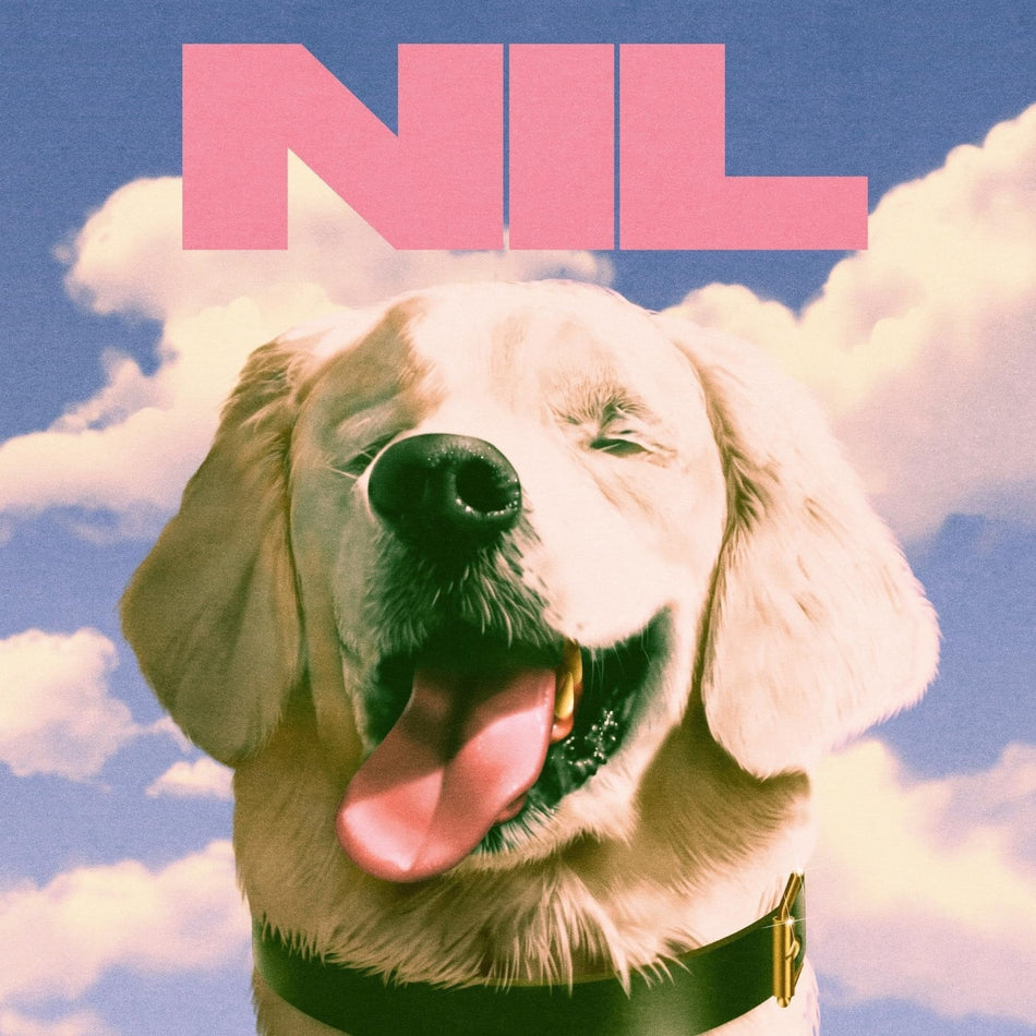 Dirty Nil - F*** Art - (Black) - [Vinyl]