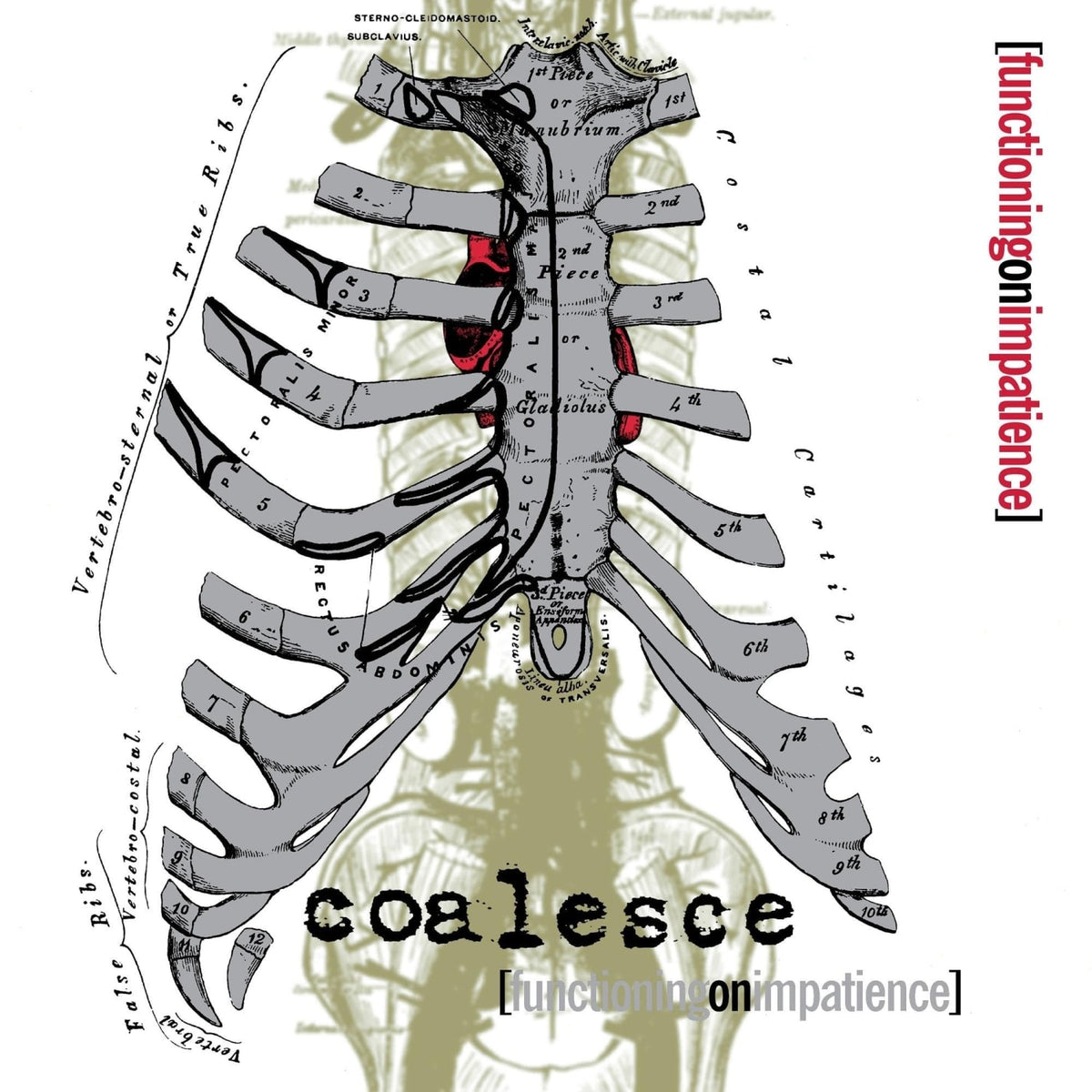 Coalesce - Functioning On Impatience - (Colored Vinyl, White, Splatter) - [Vinyl]