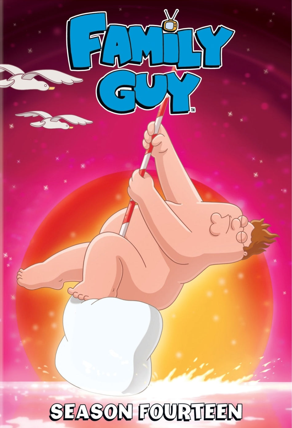 Family Guy Season 14 - [DVD]