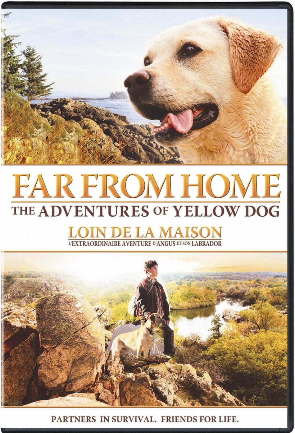 Far From Home: The Adventures of Yellow Dog - [DVD]