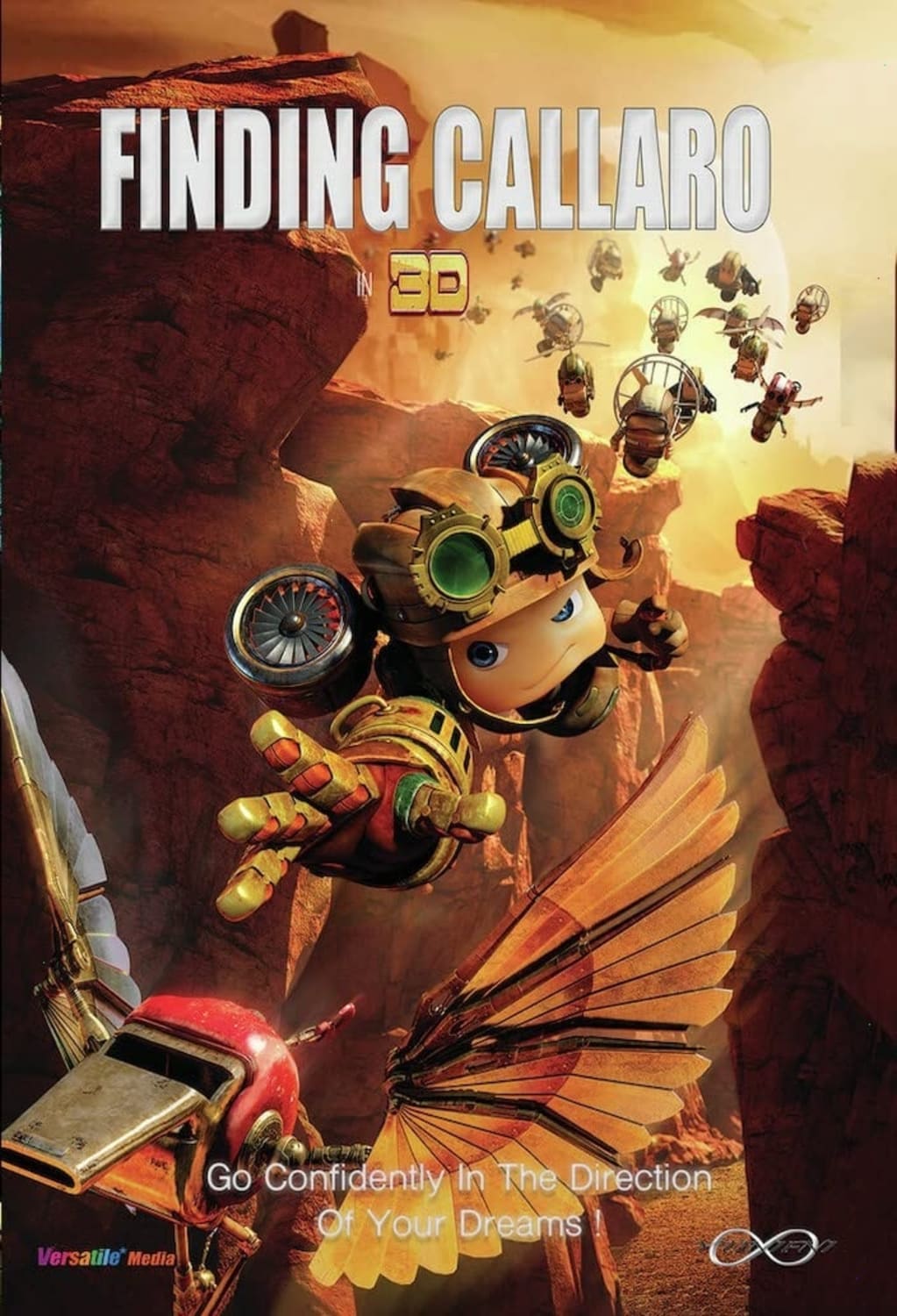Finding Callaro - (Dolby, AC-3) - [DVD]