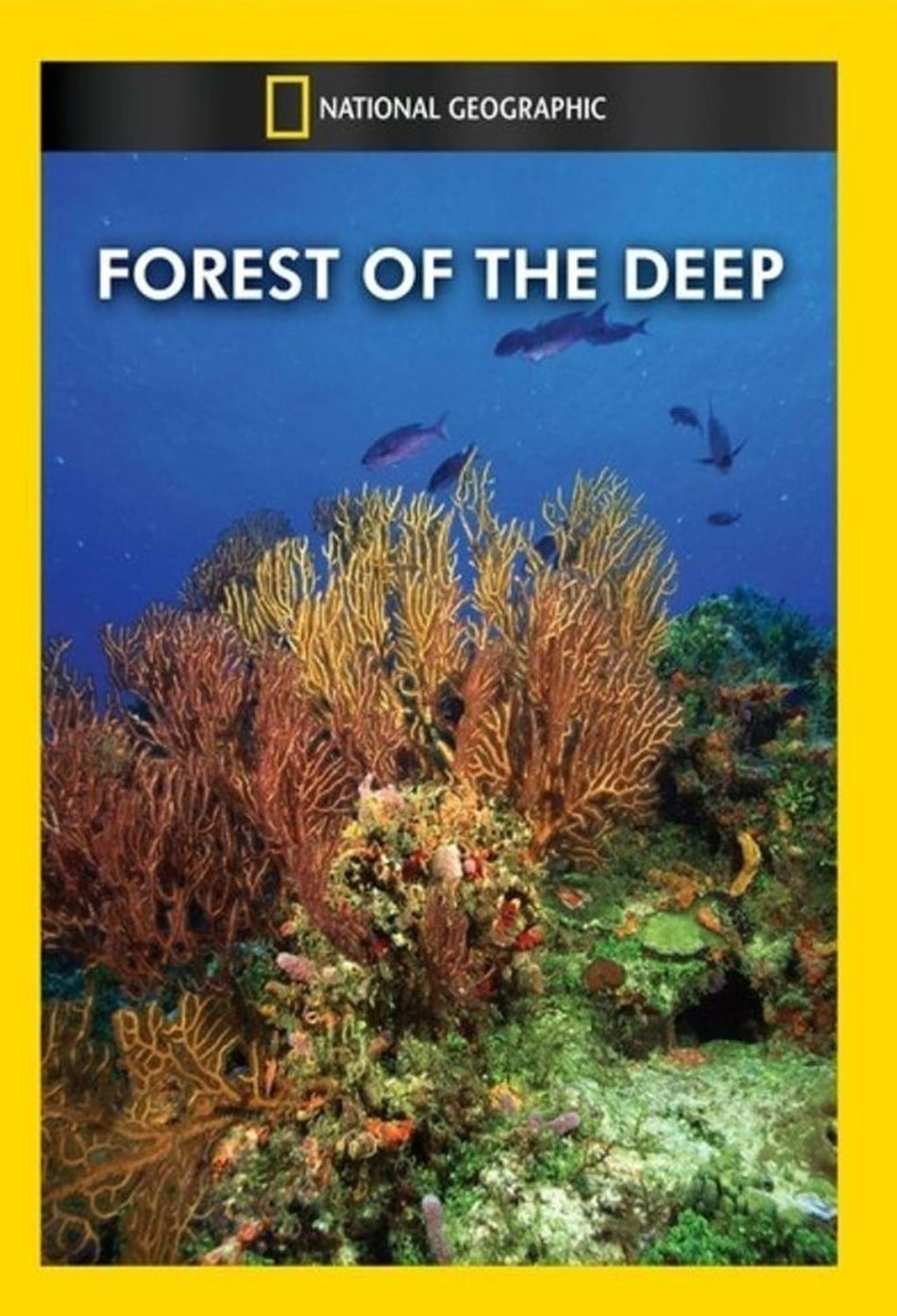Forest of the Deep - (NTSC Format) - [DVD]