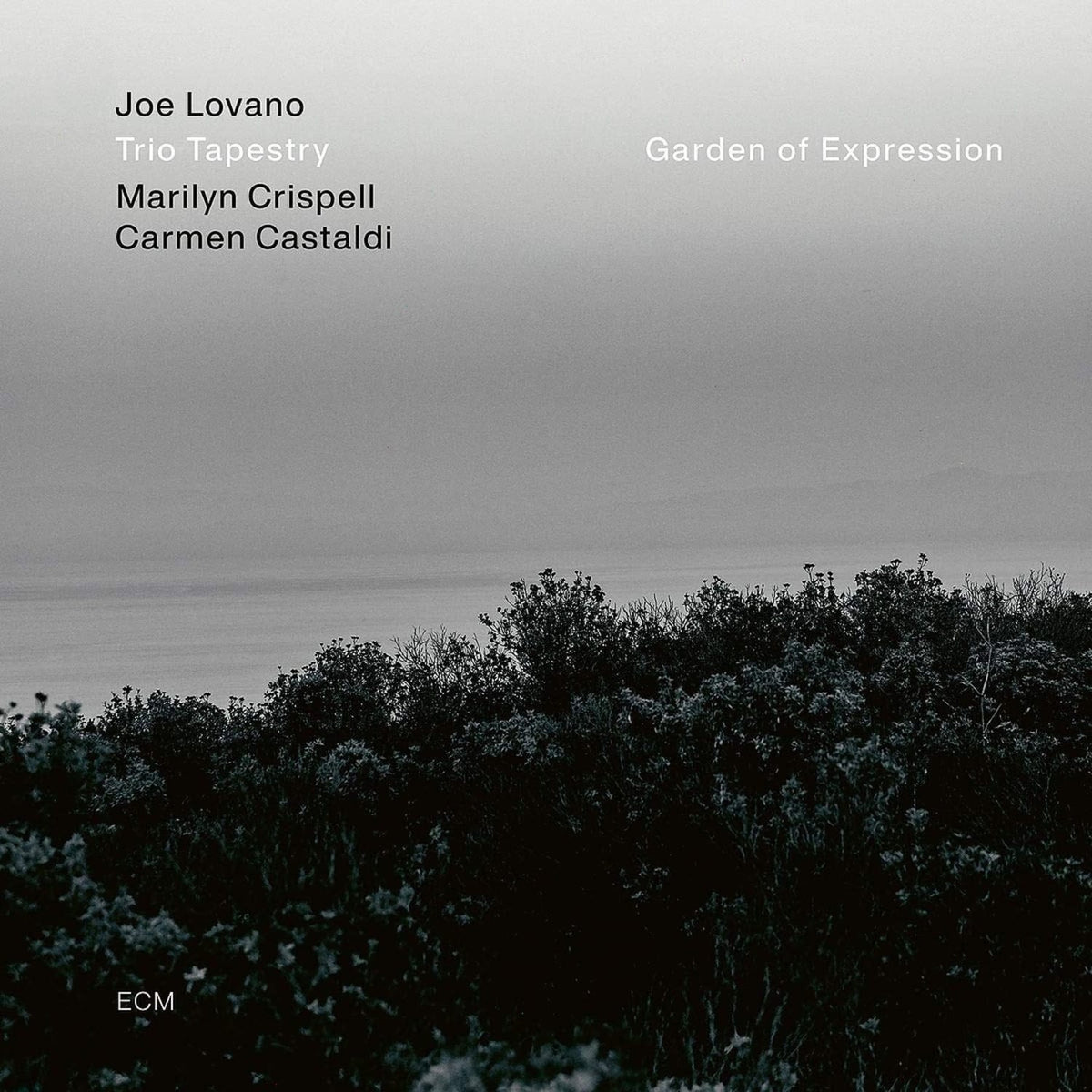 JOE LOVANO / MARILYN CRISPELL / CARMEN CASTALDI - Garden Of Expression - [Vinyl]