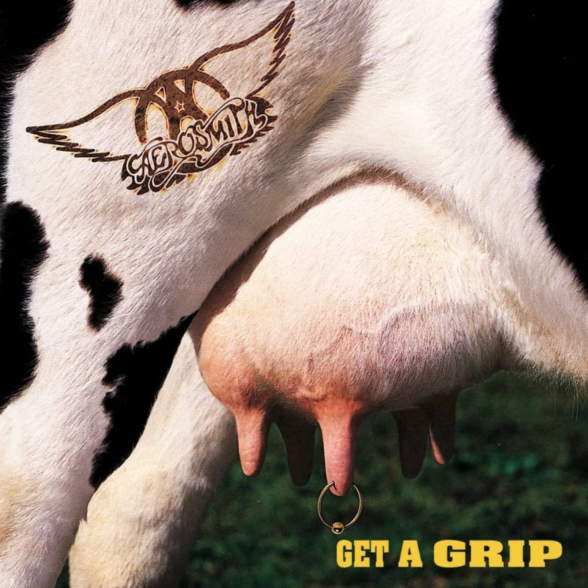 Aerosmith - Get A Grip - (180 Gram ) - [Vinyl]