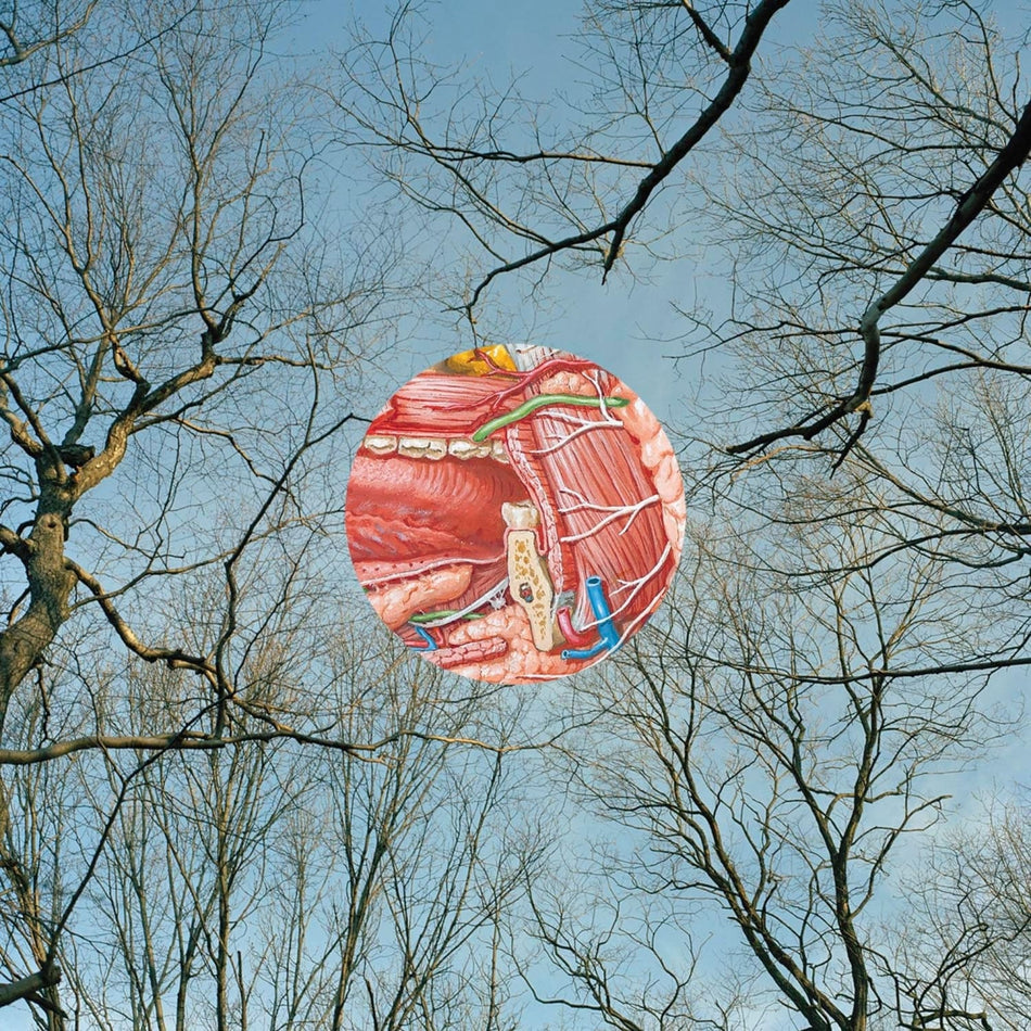 They Might Be Giants - Glean - (Clear Vinyl, Red) - [Vinyl]