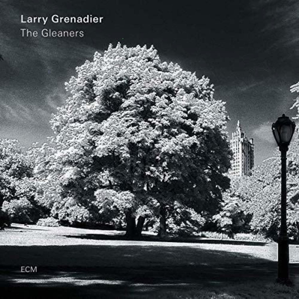 Larry Grenadier - The Gleaners - [Vinyl]