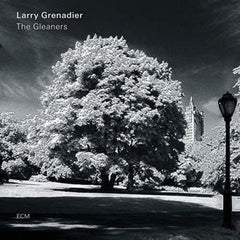 Larry Grenadier - The Gleaners - [Vinyl]