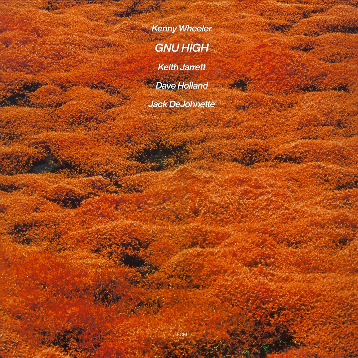 Kenny Wheeler - Gnu High - [Vinyl]