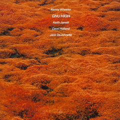 Kenny Wheeler - Gnu High - [Vinyl]