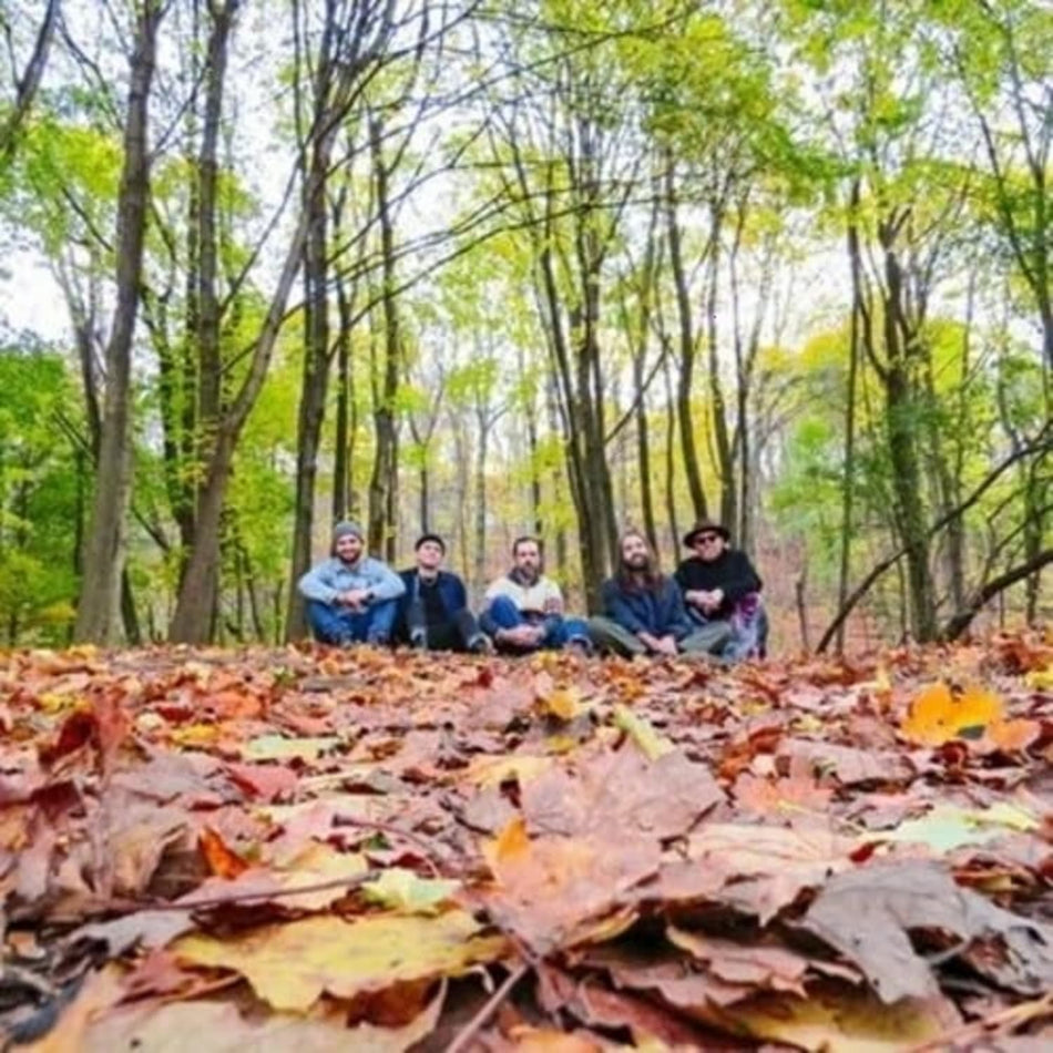 Golden Feather - Golden Feather - [Vinyl]