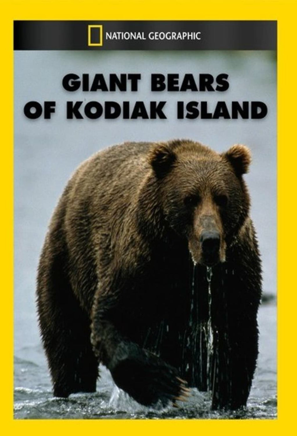 Giant Bears of Kodiak Island - (NTSC Format) - [DVD]