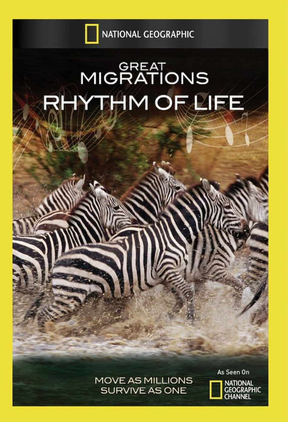 Great Migrations: Rhythm of Life - (NTSC Format) - [DVD]