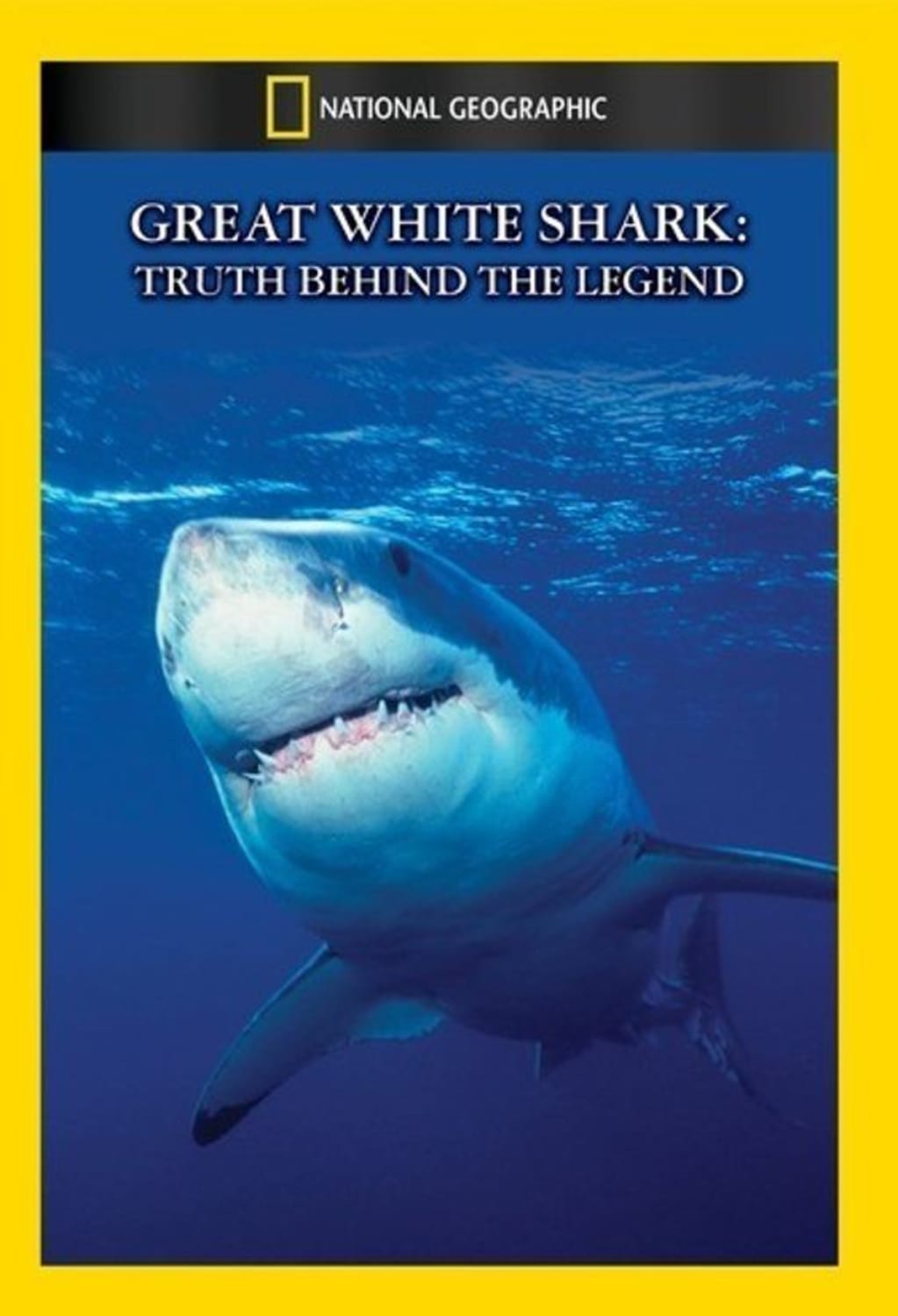 Great White Shark: Truth Behind the Legend - [DVD]