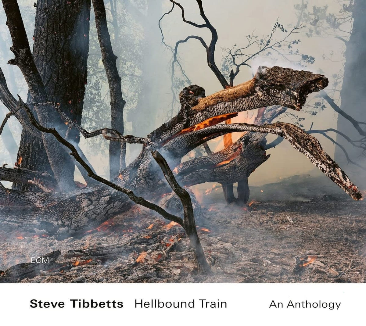 Steve Tibbetts - Hellbound Train: An Anthology - [CD]