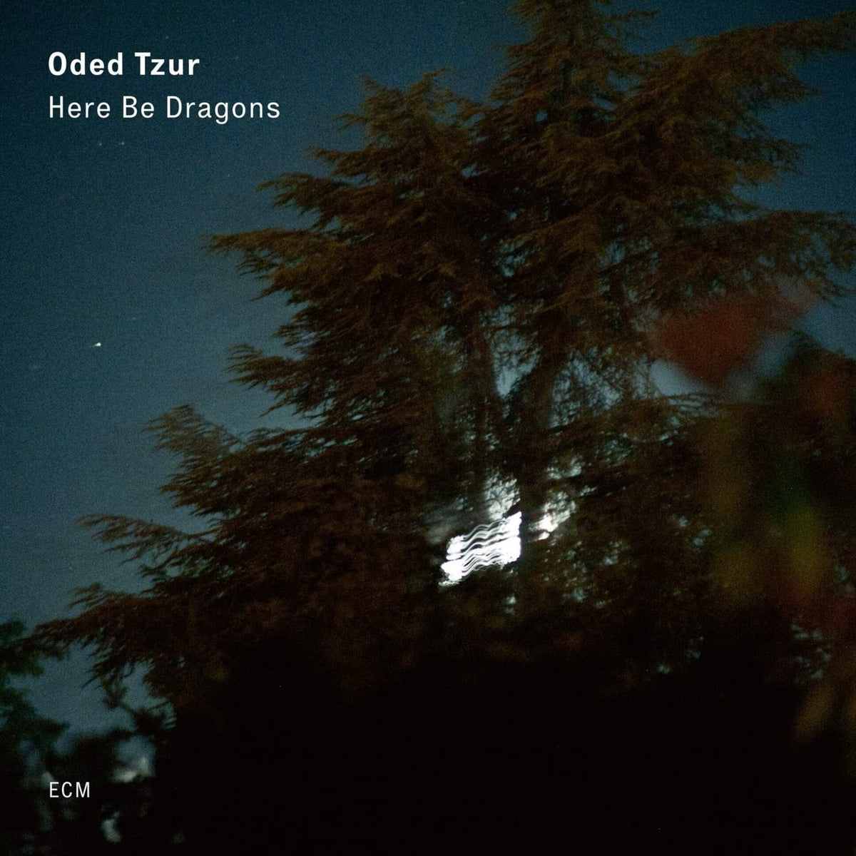 Oded Tzur - HERE BE DRAGONS - [Vinyl]