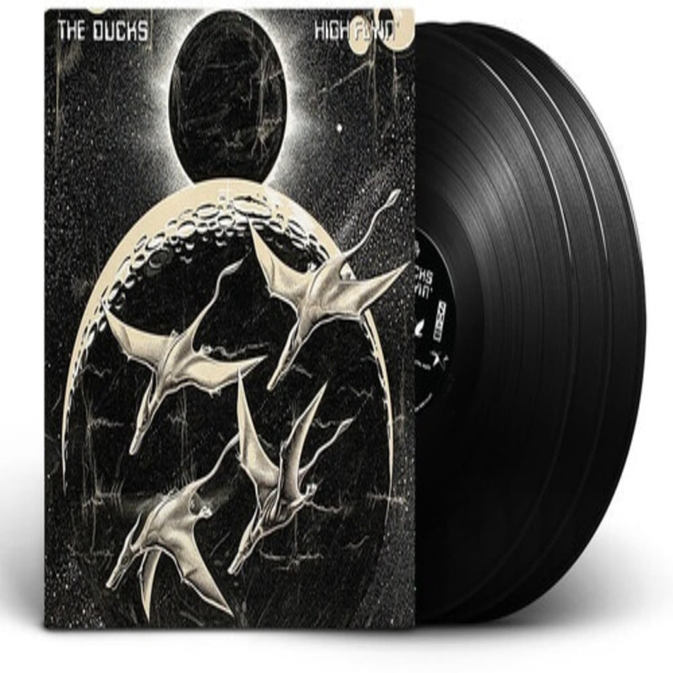 Ducks - High Flyin - [Vinyl]