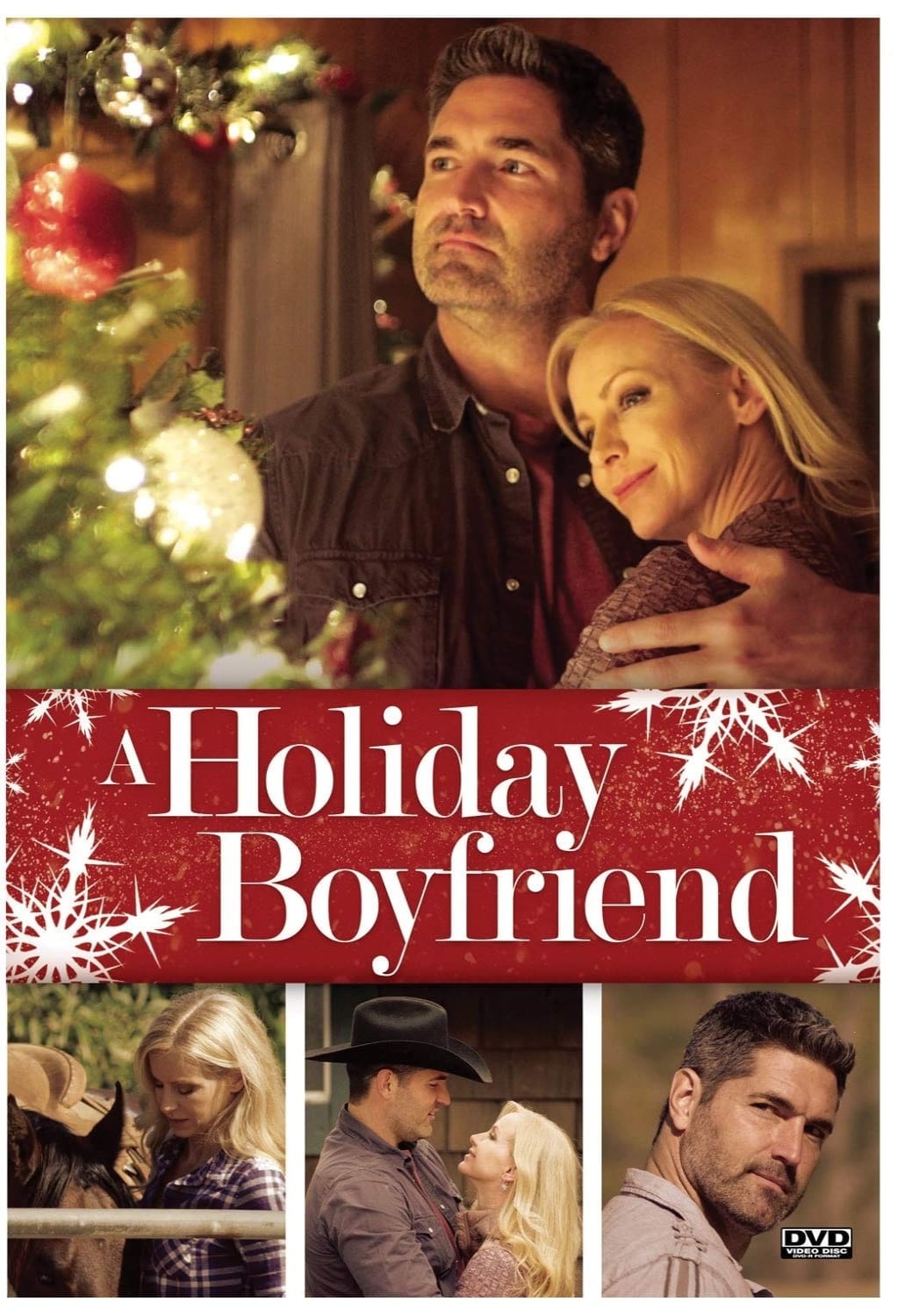 Holiday Boyfriend - [DVD]