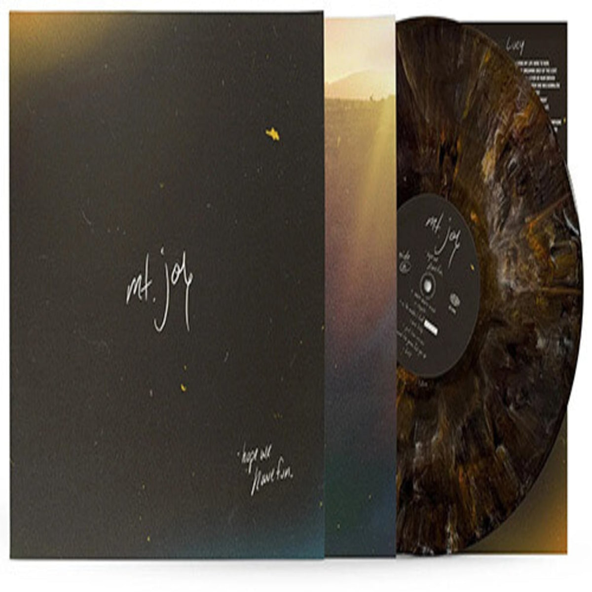 Mt. Joy - Hope We Have Fun [Explicit Content] - (Parental Advisory Explicit Lyrics, 180 Gram Vinyl, Colored Vinyl, Brown) - [Vinyl]