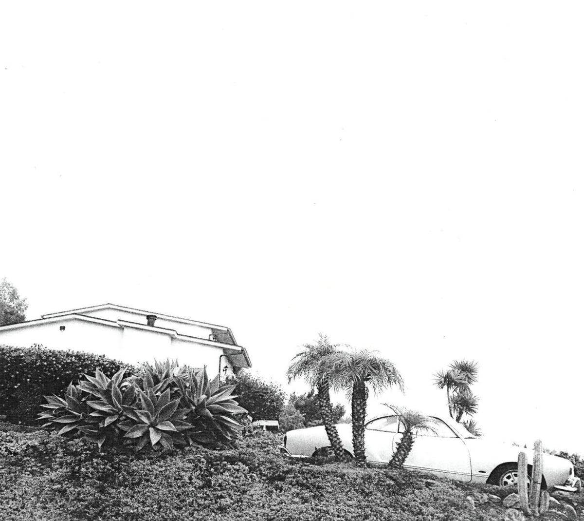 Timber Timbre - Hot Dreams - [CD]