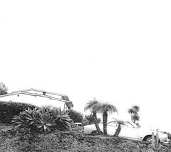 Timber Timbre - Hot Dreams - [CD]