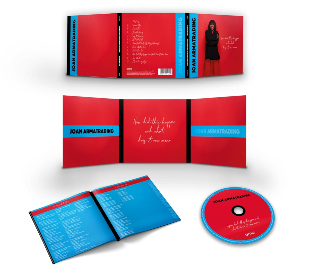 Joan Armatrading - How Did This Happen And What Does It Now Mean - [CD]