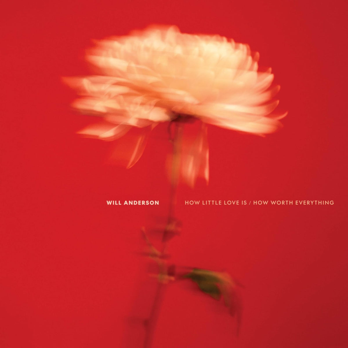 Will Anderson - HOW LITTLE LOVE IS / HOW WORTH EVERYTHING - [Vinyl]