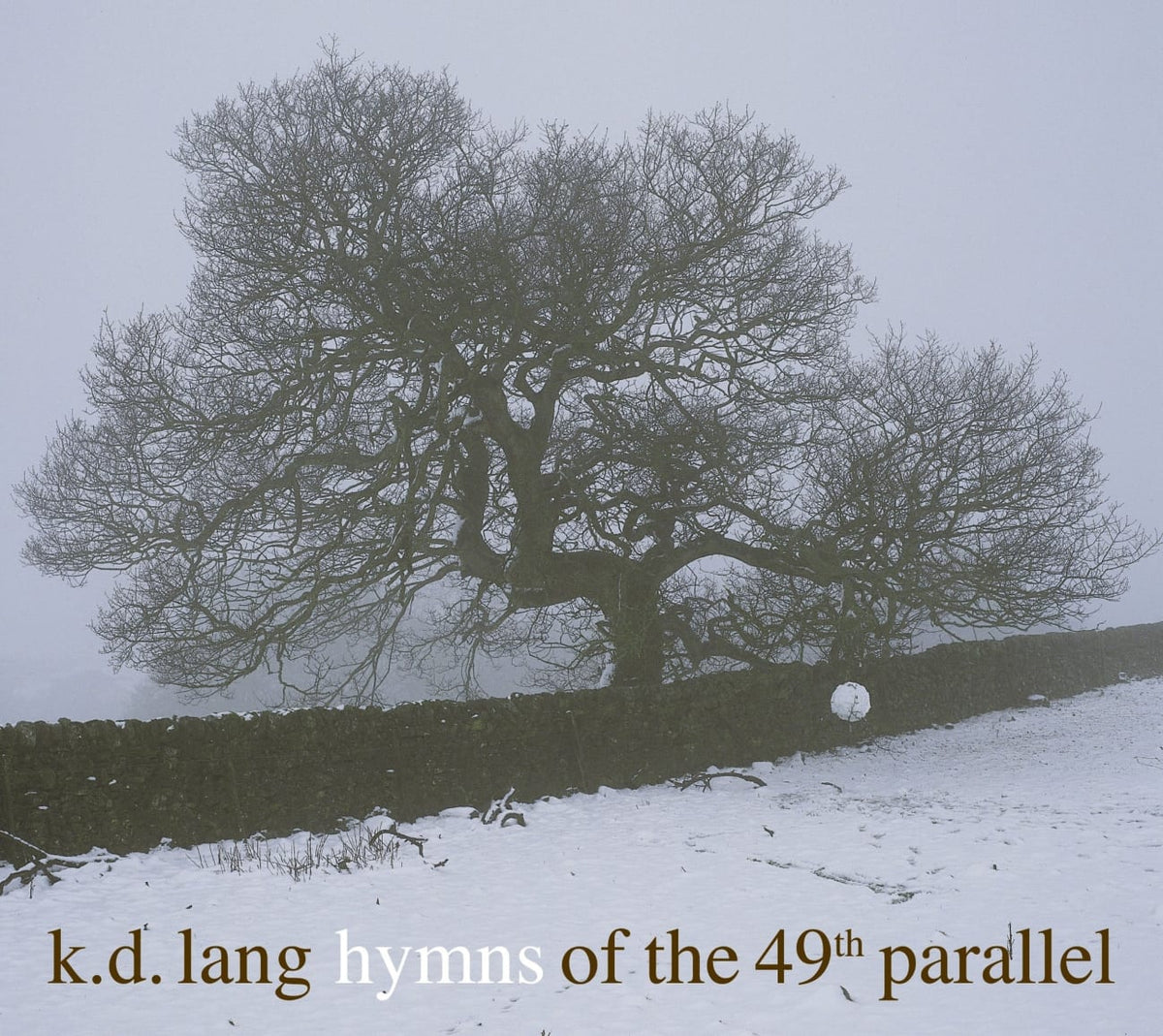 k.d. lang - Hymns of the 49th Parallel - [CD]