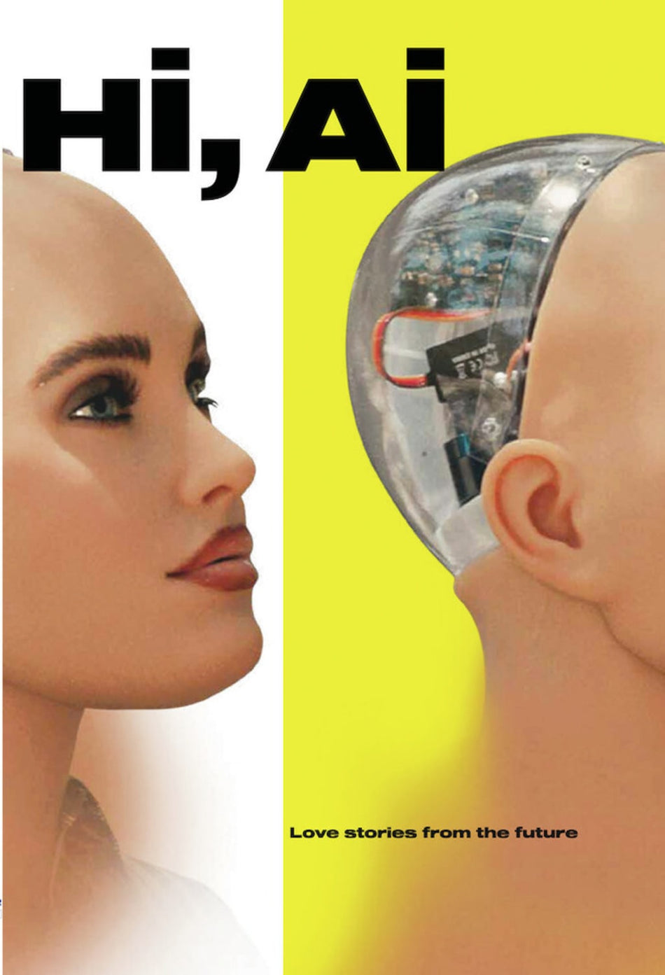Hi, Ai - (Dolby, AC-3, Dubbed) - [DVD]